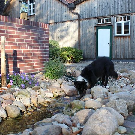 Landgasthof Wildwasser Wolthausen Ngoại thất bức ảnh