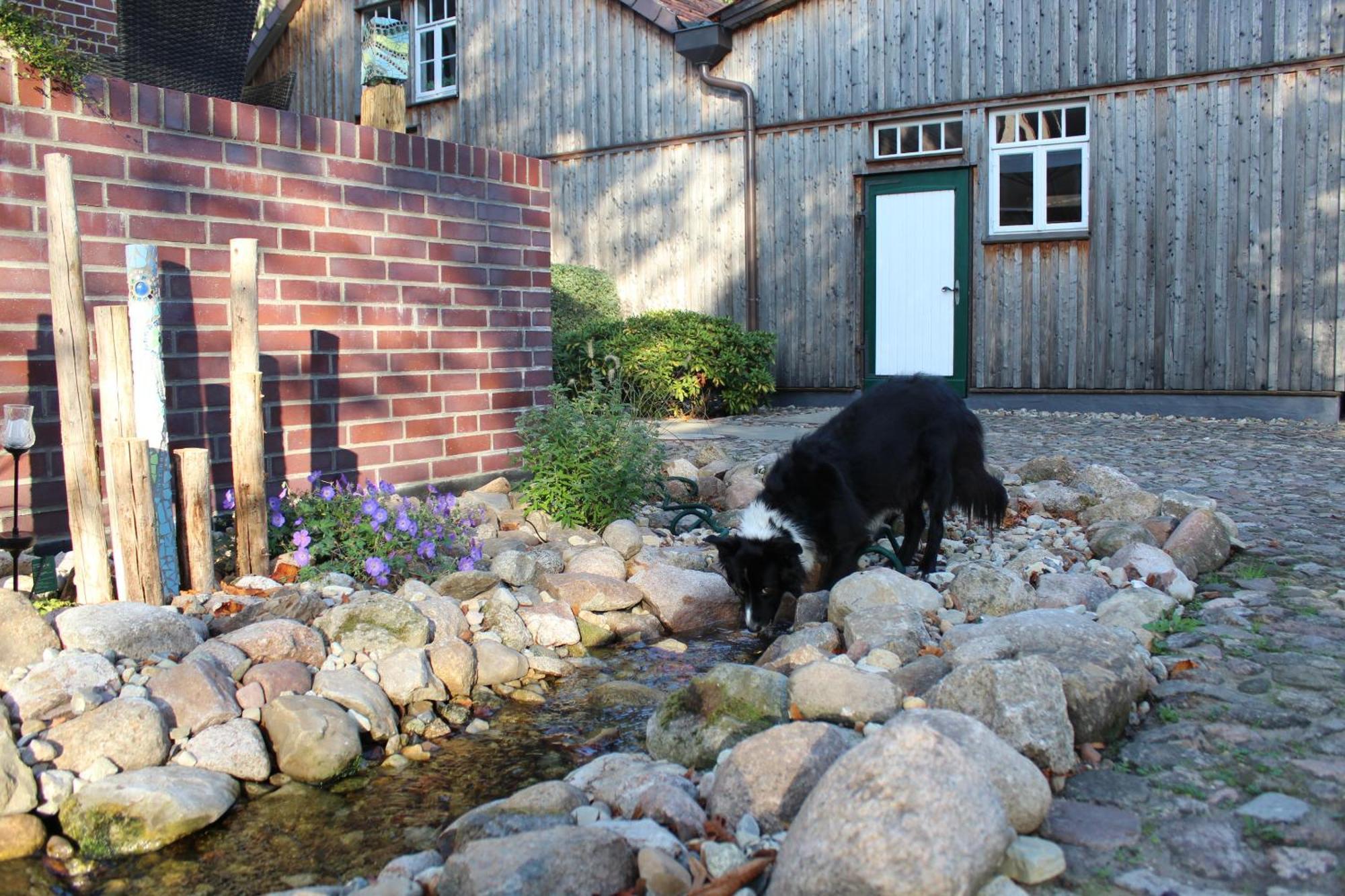Landgasthof Wildwasser Wolthausen Ngoại thất bức ảnh